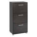 Shoe Cabinet Wooden FK2221.01 Zebrano 3Places 62x24x110 Shoe Cabinet Wooden FK2221.01 Zebrano 3Places 62x24x110