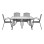 Set Dining Table 5 pieces Grey Table & 4 Armchairs Grey color