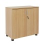Professional Office Cabinet Beech color FK2053.11 80x40x82cm