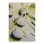 Canvas Stones FK7154.10 60X90X2.5 cm.