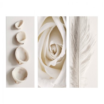 CANVAS THREE PIECES MDF NATURAL ELEMENTS FK7204.05 60X0,3X50 cm