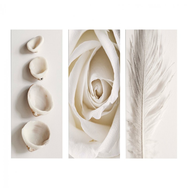 CANVAS THREE PIECES MDF NATURAL ELEMENTS FK7204.05 60X0,3X50 cm CANVAS THREE PIECES MDF NATURAL ELEMENTS FK7204.05 60X0,3X50 cm
