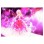 FK7679.05 120Χ180cm, kids carpet in pink, doll, with fringes