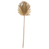 WALL DECOR FK7876 DRIED PALM LEAF IN NATURAL COLOR 30x102x3 cm.