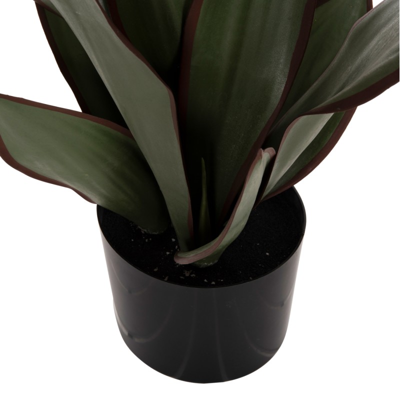DECORATIVE SYNTHETIC PLANT IN POT FK7996 BROADLEAF SANSEVIERIA Φ14x12-51Υεκ. DECORATIVE SYNTHETIC PLANT IN POT FK7996 BROADLEAF SANSEVIERIA Φ14x12-51Υεκ.