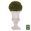 DECORATIVE SYNTHETIC PLANT IN AMPHORA FK4023 TOPIARY BOXWOOD 82H cm.