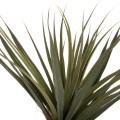 DECORATIVE SYNTHETIC PLANT IN POT FK7988 SISAL TREE Φ23x18-180Hcm. DECORATIVE SYNTHETIC PLANT IN POT FK7988 SISAL TREE Φ23x18-180Hcm.