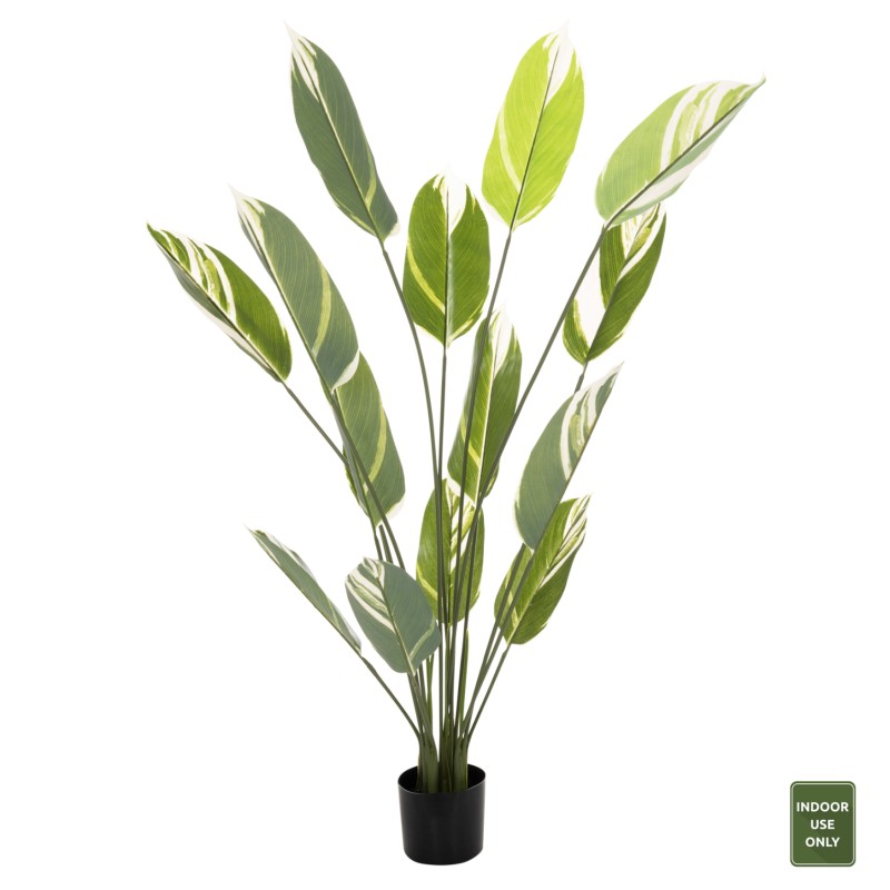 DECORATIVE SYNTHETIC PLANT IN POT FK7997 CALATHEA 140Hcm. DECORATIVE SYNTHETIC PLANT IN POT FK7997 CALATHEA 140Hcm.