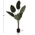 DECORATIVE SYNTHETIC PLANT IN POT FK7982 STRELITZIACEAE Φ17x14,5-150Hcm. DECORATIVE SYNTHETIC PLANT IN POT FK7982 STRELITZIACEAE Φ17x14,5-150Hcm.