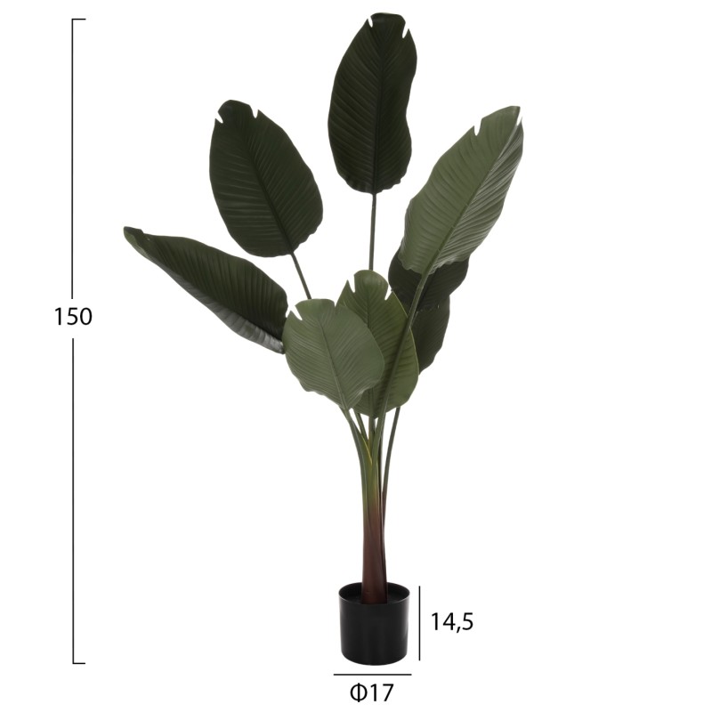 DECORATIVE SYNTHETIC PLANT IN POT FK7982 STRELITZIACEAE Φ17x14,5-150Hcm. DECORATIVE SYNTHETIC PLANT IN POT FK7982 STRELITZIACEAE Φ17x14,5-150Hcm.