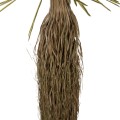 DECORATIVE SYNTHETIC PLANT FK7973 SCARECROW IN POT 145H cm. DECORATIVE SYNTHETIC PLANT FK7973 SCARECROW IN POT 145H cm.