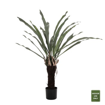 DECORATIVE SYNTHETIC PLANT FK7975 ASPLENIUM PROLONGATUM (FERN) IN POT 137Hcm.