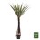 DECORATIVE SYNTHETIC PLANT FK7989 SISAL TREE IN POT 200H cm.