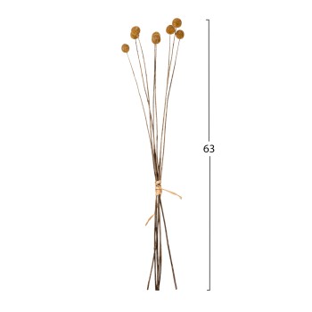 DECORATIVE DRIED BOUQUET CRASPEDIA GLOBOSA FK7956 YELLOW 63Hcm.