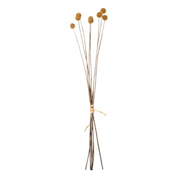 DECORATIVE DRIED BOUQUET CRASPEDIA GLOBOSA FK7956 YELLOW 63Hcm.