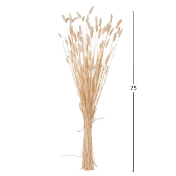 DECORATIVE DRIED BOUQUEΤ RABBIT TAIL FK7959 CREAM 76Hcm.