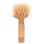 DECORATIVE DRIED WHEAT BOUQUET FK7963 NATURAL COLOR 48Hcm.