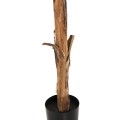 DECORATIVE SYNTHETIC PLANT FK7979 BANΑΝΑ TREE (1) IN POT 180H cm. DECORATIVE SYNTHETIC PLANT FK7979 BANΑΝΑ TREE (1) IN POT 180H cm.