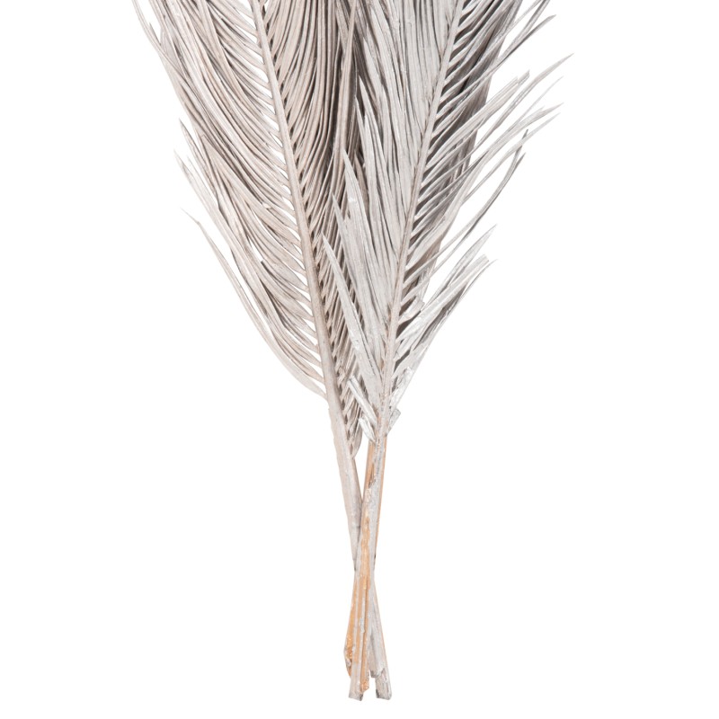 DECORATIVE DRIED 3-LEAF SET OF PALM TREE ΗΜ7957 SILVER 1120Hcm. DECORATIVE DRIED 3-LEAF SET OF PALM TREE ΗΜ7957 SILVER 1120Hcm.