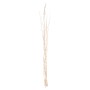 DECORATIVE BOUQUET 5PCS DRIED WILLOW BRANCHES FK7966 CREAM 170Hcm.