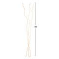 DECORATIVE BOUQUET FK7967 3PCS DRIED MORUS ALBA BRANCHES IN CREAM COLOR 1803Hcm. DECORATIVE BOUQUET FK7967 3PCS DRIED MORUS ALBA BRANCHES IN CREAM COLOR 1803Hcm.