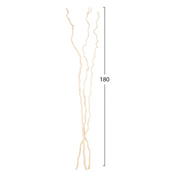 DECORATIVE BOUQUET FK7967 3PCS DRIED MORUS ALBA BRANCHES IN CREAM COLOR 1803Hcm.