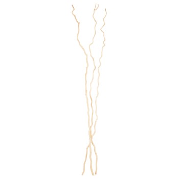 DECORATIVE BOUQUET FK7967 3PCS DRIED MORUS ALBA BRANCHES IN CREAM COLOR 1803Hcm.
