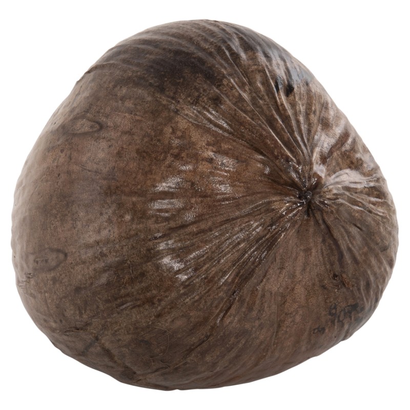 TABLE DECORATION FK4326.01 COCONUT IN NATURAL COLOR 20x20x20Hcm. TABLE DECORATION FK4326.01 COCONUT IN NATURAL COLOR 20x20x20Hcm.