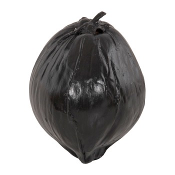 TABLE DECORATION FK4326.02 COCONUT IN BLACK COLOR 20x20x20Hcm.