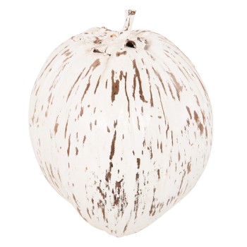 TABLE DECORATION FK4326.05 COCONUT IN WHITE COLOR 20x20x20Hcm.