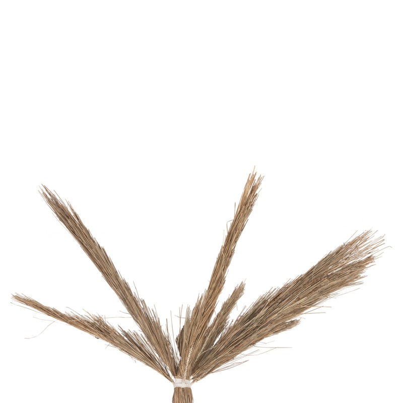 DECORATIVE TREE TROPIC FK4323 COCONUT-STYLE MADE OF MENDONG GRASS 310Hcm. DECORATIVE TREE TROPIC FK4323 COCONUT-STYLE MADE OF MENDONG GRASS 310Hcm.