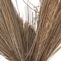 DECORATIVE TREE TROPIC FK4324 COCONUT-STYLE MADE OF MENDONG GRASS 280Hcm. DECORATIVE TREE TROPIC FK4324 COCONUT-STYLE MADE OF MENDONG GRASS 280Hcm.