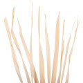 DECORATIVE DRIED SWORD LEAF BOUQUET FK7964 10PCS NATURAL 120Hcm. DECORATIVE DRIED SWORD LEAF BOUQUET FK7964 10PCS NATURAL 120Hcm.
