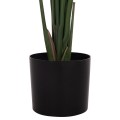 DECORATIVE SYNTHETIC PLANT IN POT FK4739 STRELITZIA Φ18x172Hcm. DECORATIVE SYNTHETIC PLANT IN POT FK4739 STRELITZIA Φ18x172Hcm.