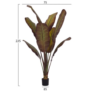DECORATIVE SYNTHETIC PLANT IN POT FK4740 JAPANESE BANANA 85x75x225Hcm.