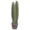 DECORATIVE SYNTHETIC PLANT IN POT FK4743 CACTUS Φ16x62Hcm.