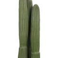 DECORATIVE SYNTHETIC PLANT IN POT FK4745 CACTUS Φ17.5x144Hcm. DECORATIVE SYNTHETIC PLANT IN POT FK4745 CACTUS Φ17.5x144Hcm.