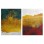 WALL PAINTING 2PCS SERIES GOBI FK4837 PRINTED CANVAS 50x3(thickness)x70Hcm.(x2)