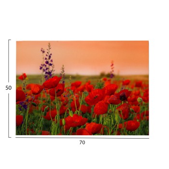 WALL PAINTING SERIES GOBI FK4760 PRINTED CANVAS 70x3(thickness)x50Hcm. WALL PAINTING SERIES GOBI FK4760 PRINTED CANVAS 70x3(thickness)x50Hcm.