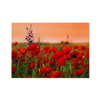 WALL PAINTING SERIES GOBI FK4760 PRINTED CANVAS 70x3(thickness)x50Hcm.