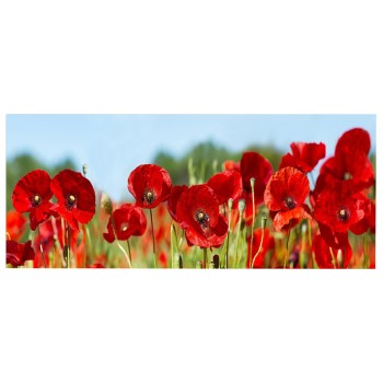 WALL PAINTING SERIES GOBI FK4786 PRINTED CANVAS 120x3(thickness)x50Hcm.